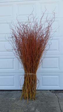 Curly Willow Floral Decoration