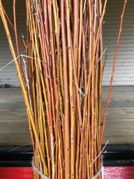 weaving willow